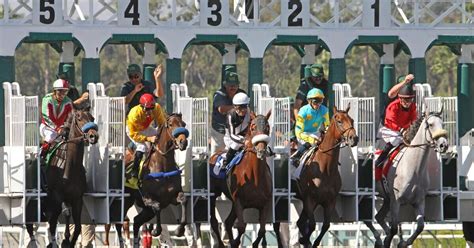Pegasus World Cup Preview, Tips, Runners & Trends.
